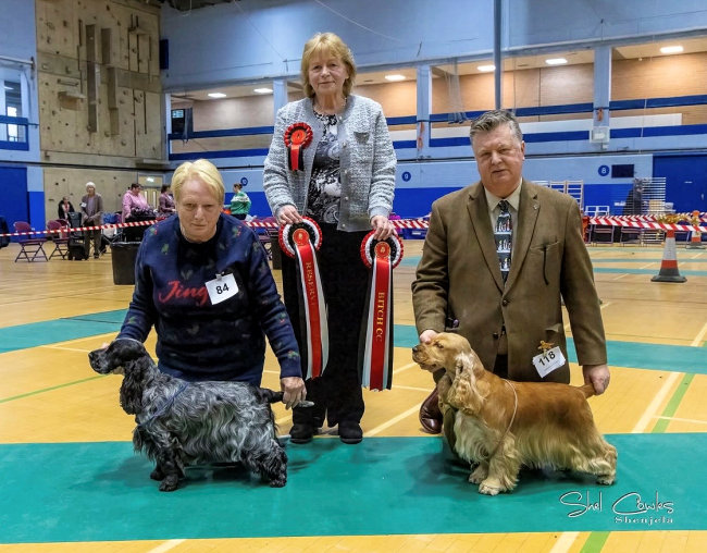 BCC & RBCC Ch Show 2025