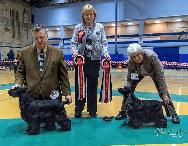 BPIS & BVIS Ch Show 2025