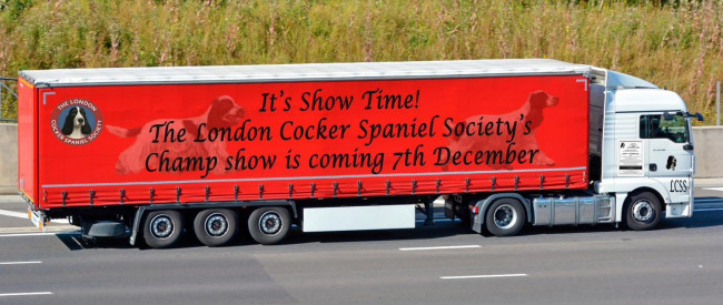 Advert for Champ Show 2025