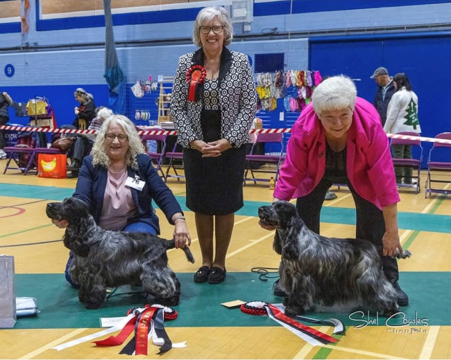 DCC & RDCC Ch Show 2025