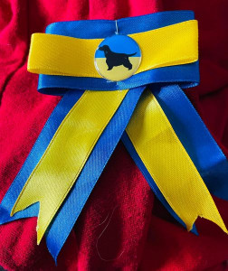 Ukraine Fundraising Ribbons